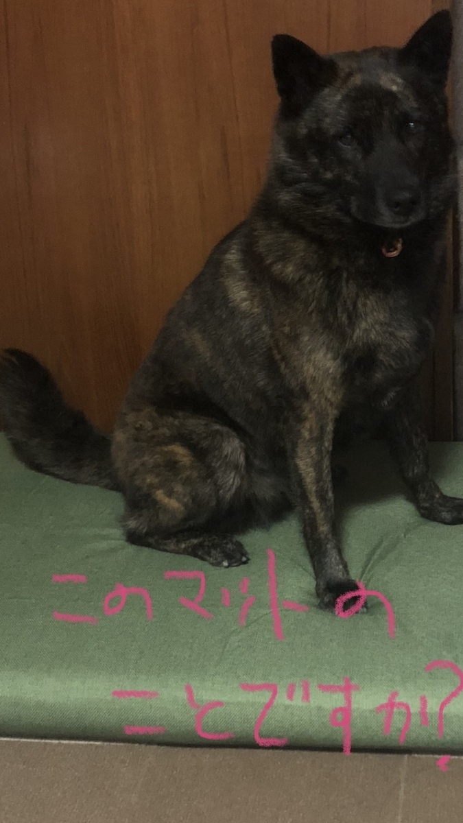 f:id:drunkard_kim:20211030124642j:plain