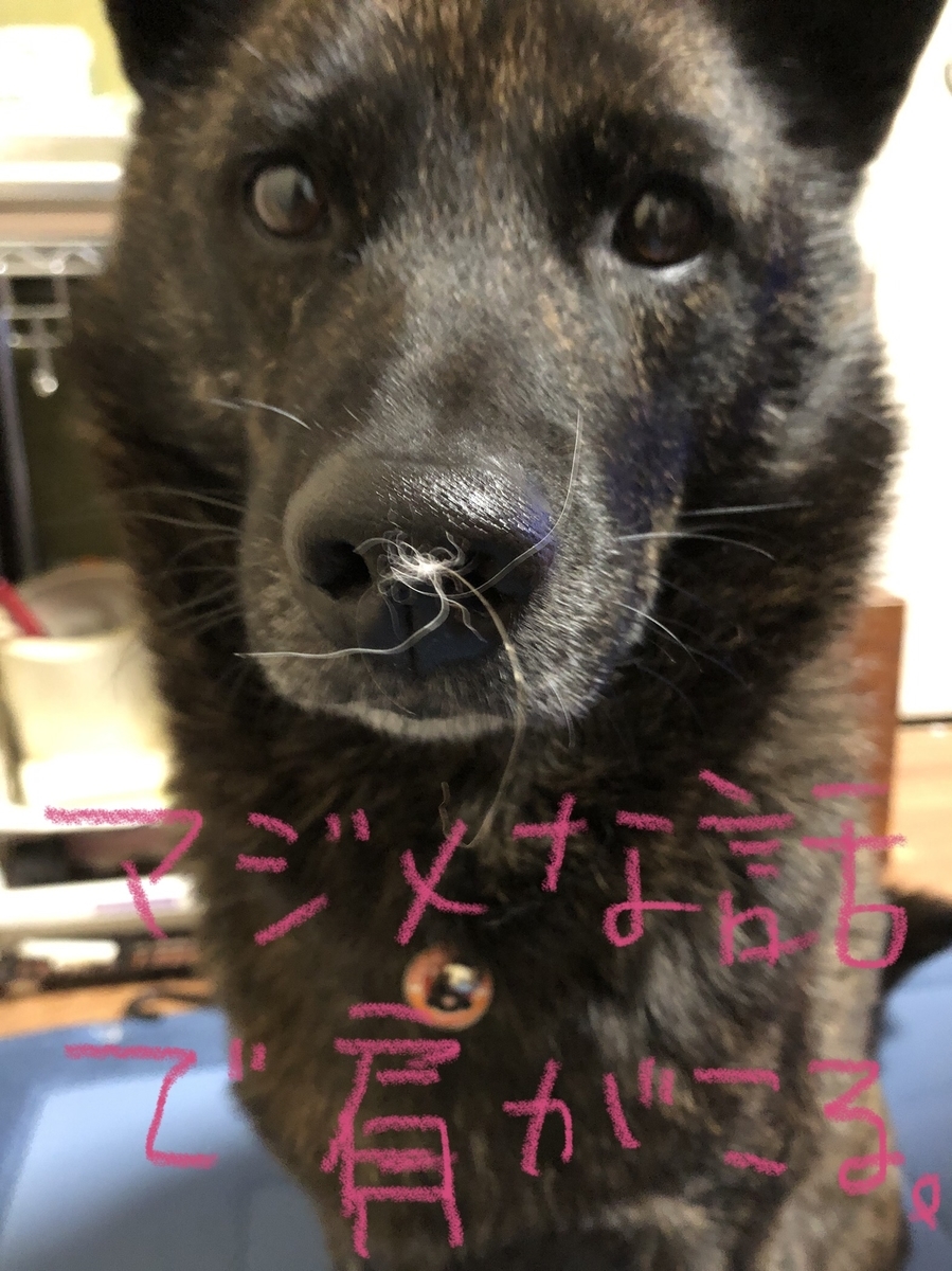 f:id:drunkard_kim:20211209215829j:plain