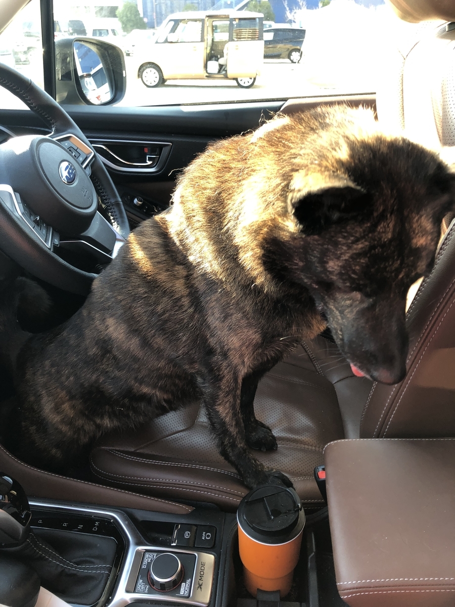 f:id:drunkard_kim:20211211230435j:plain