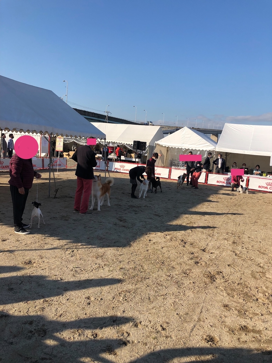 f:id:drunkard_kim:20211211231220j:plain