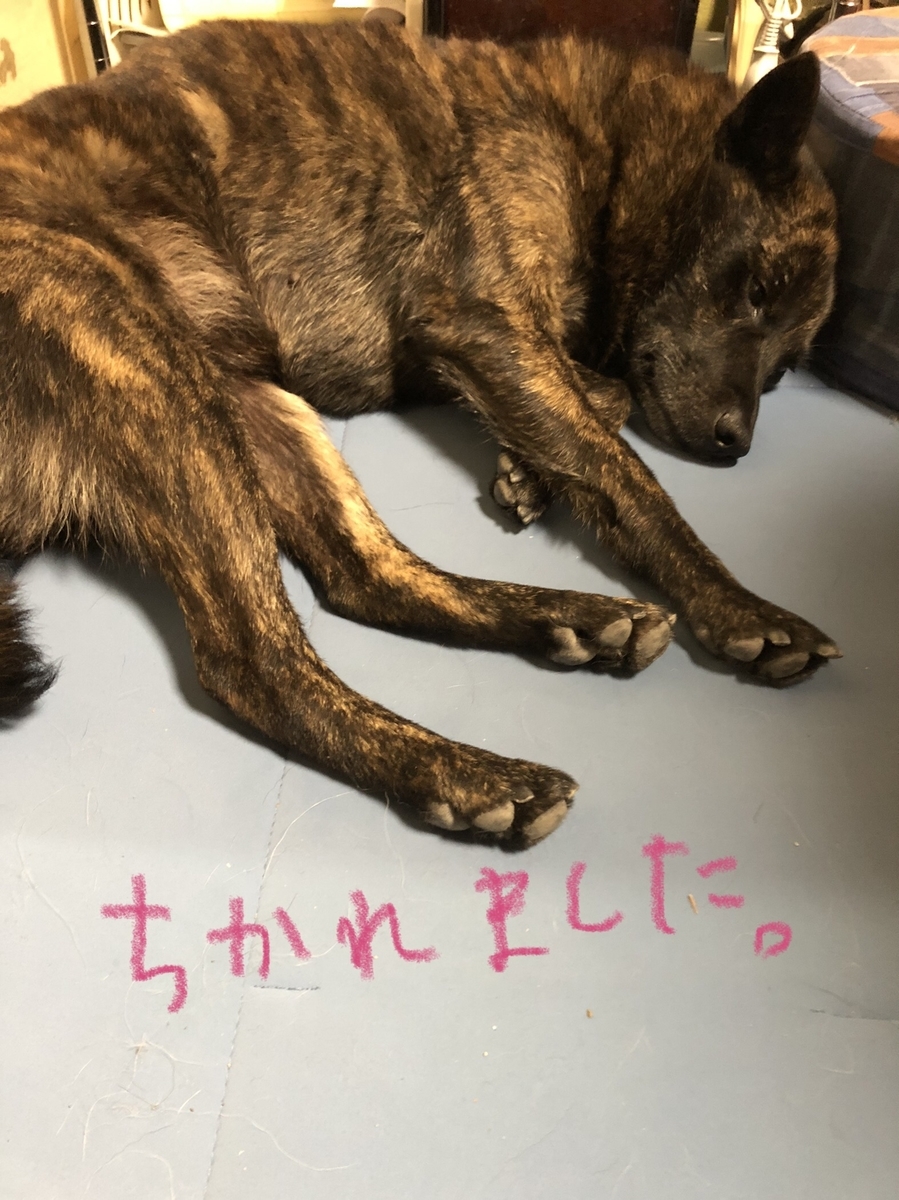 f:id:drunkard_kim:20211211232400j:plain