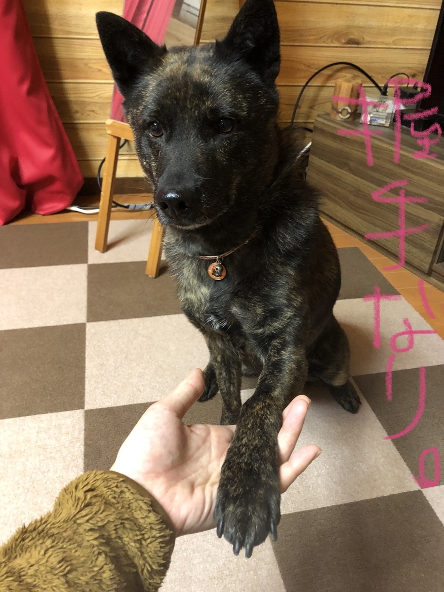 f:id:drunkard_kim:20220113122918j:plain