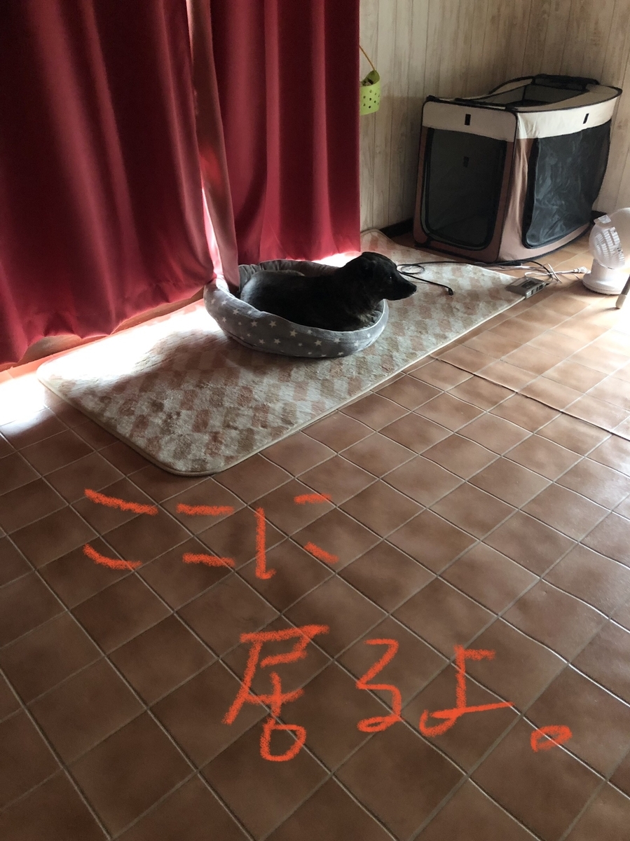 f:id:drunkard_kim:20220123162536j:plain