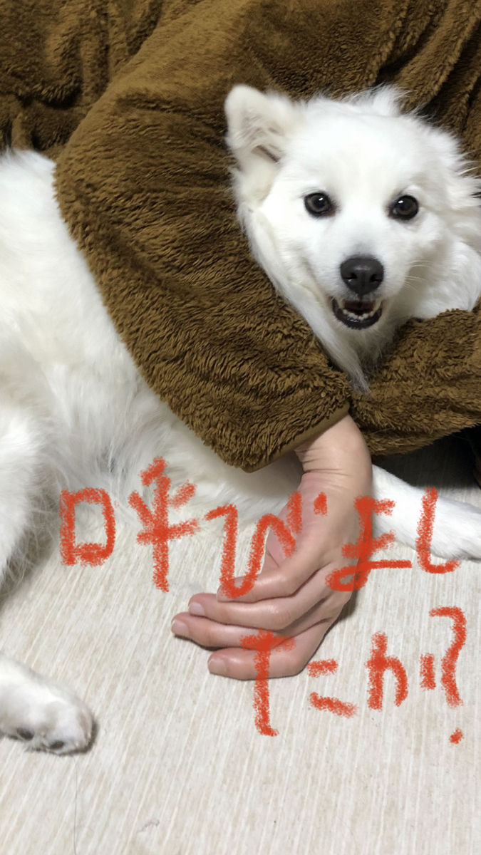f:id:drunkard_kim:20220306213053j:plain