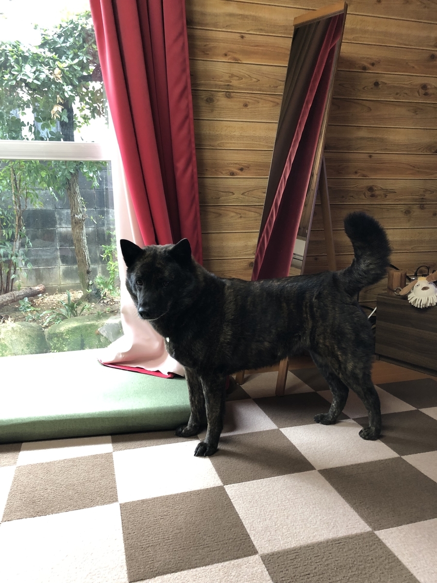 f:id:drunkard_kim:20220314211852j:plain