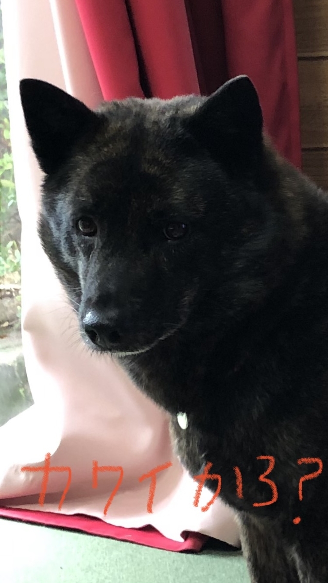 f:id:drunkard_kim:20220314211917j:plain