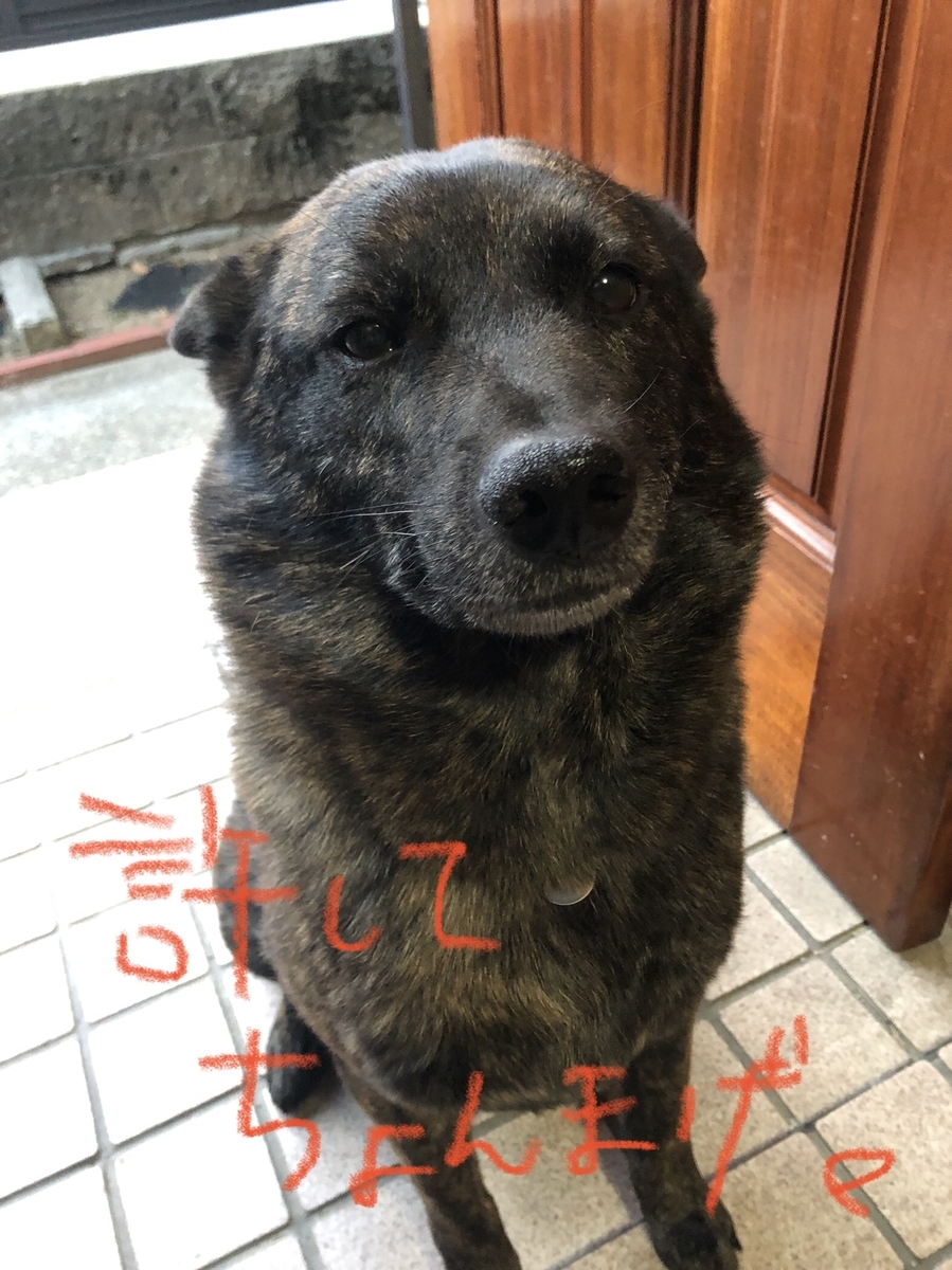 f:id:drunkard_kim:20220316214525j:plain