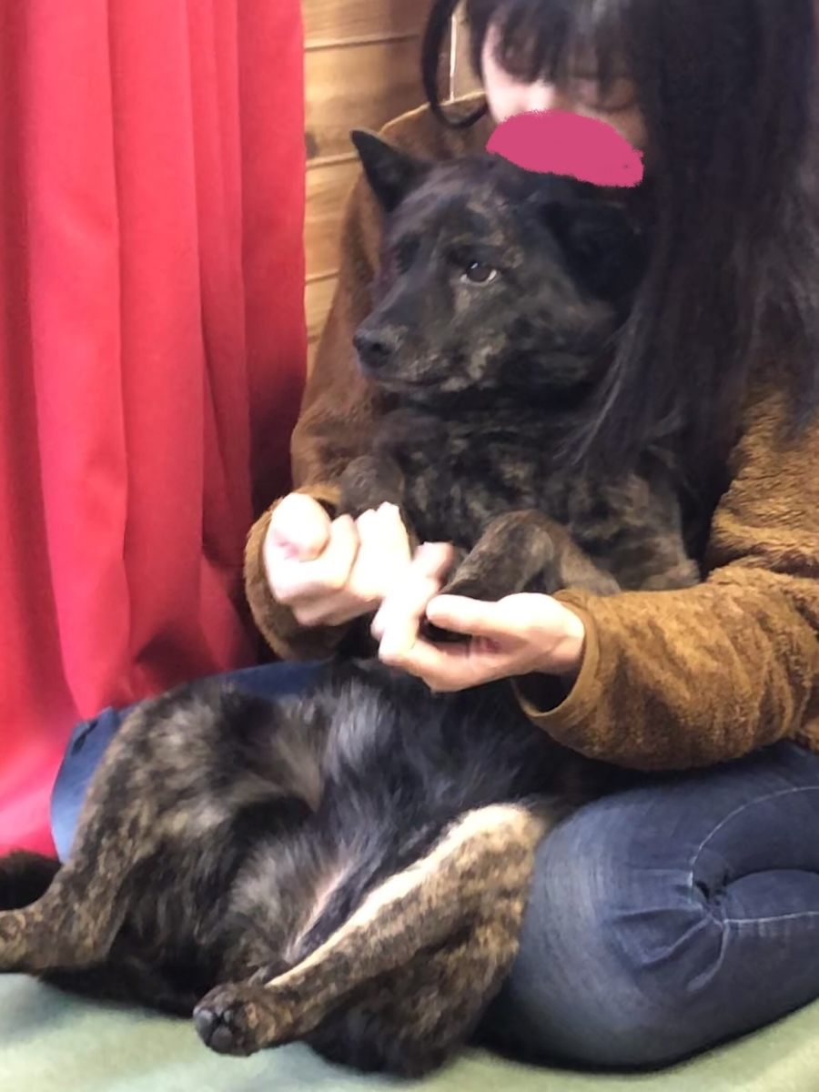 f:id:drunkard_kim:20220322202643j:plain