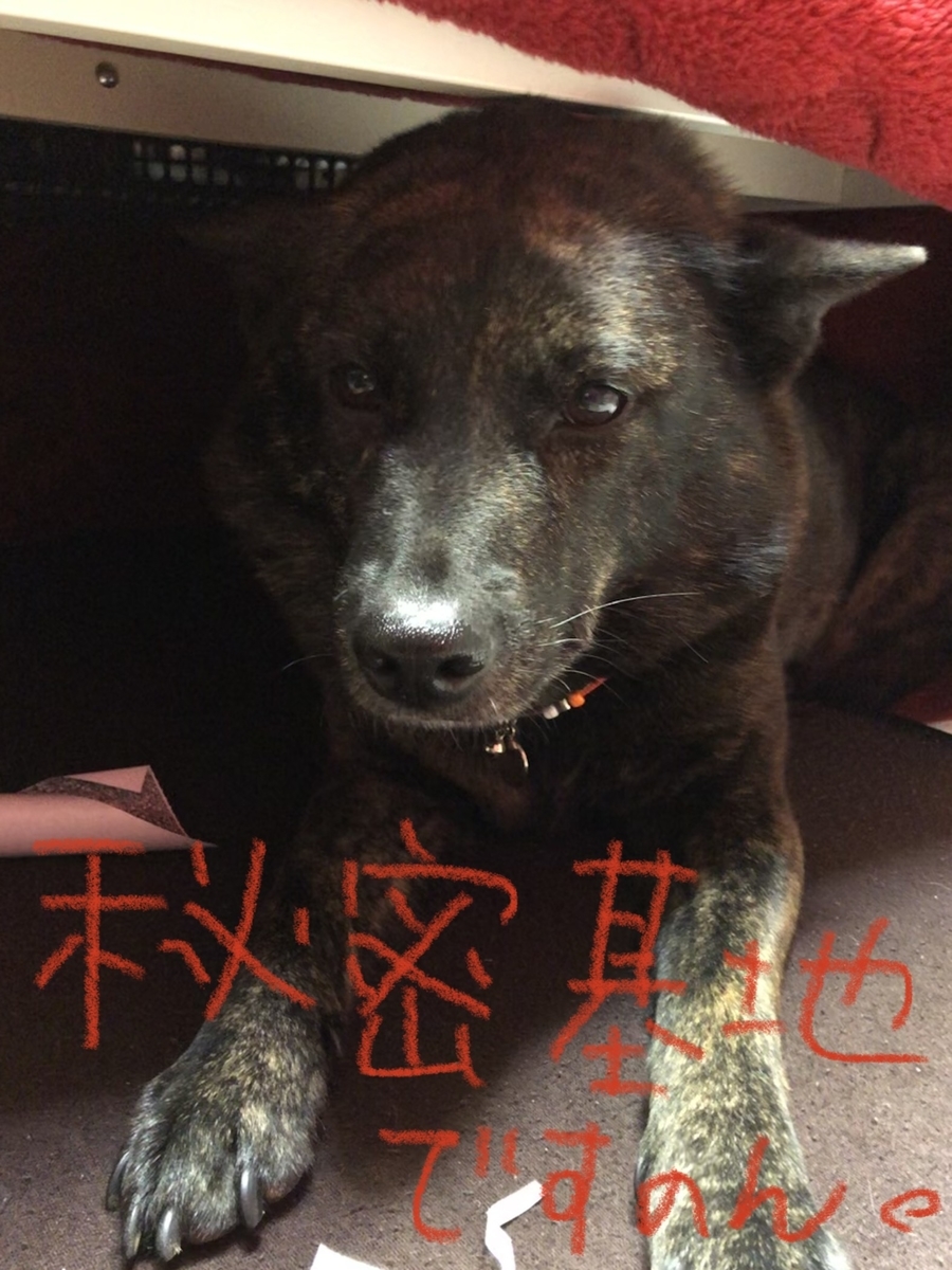f:id:drunkard_kim:20220327210740j:plain