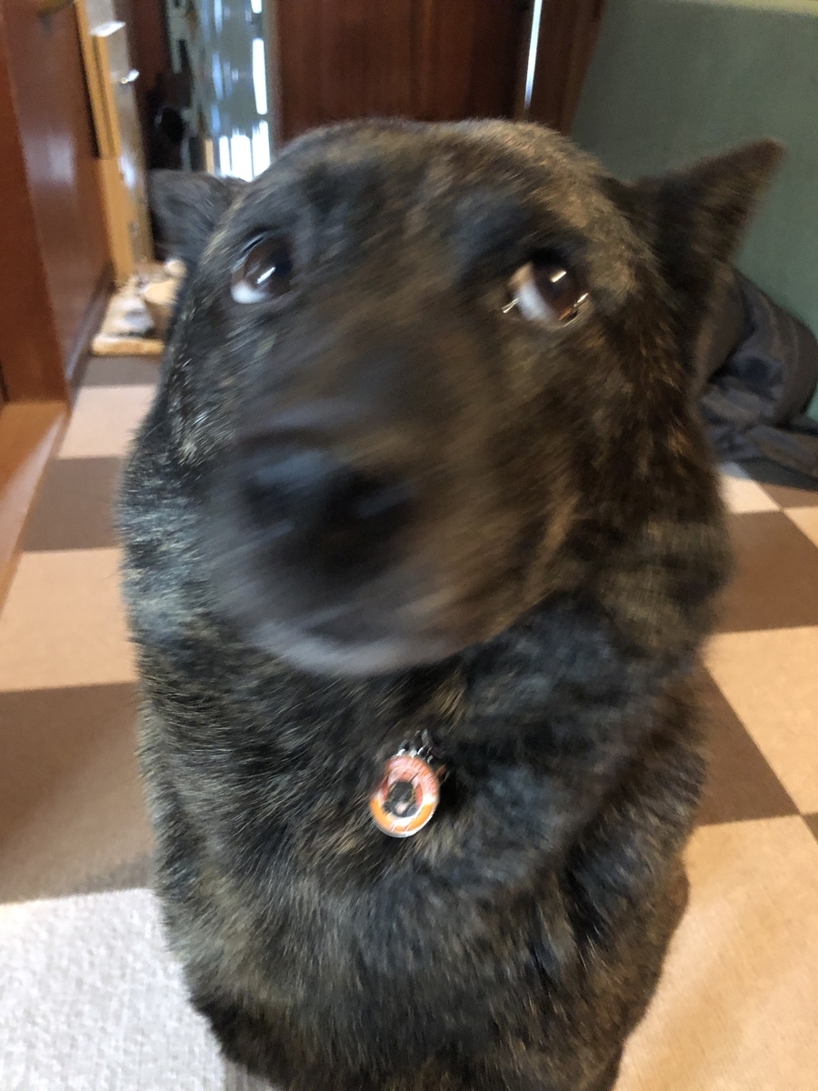 f:id:drunkard_kim:20220402125302j:plain