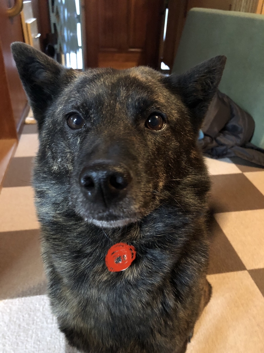 f:id:drunkard_kim:20220402125415j:plain