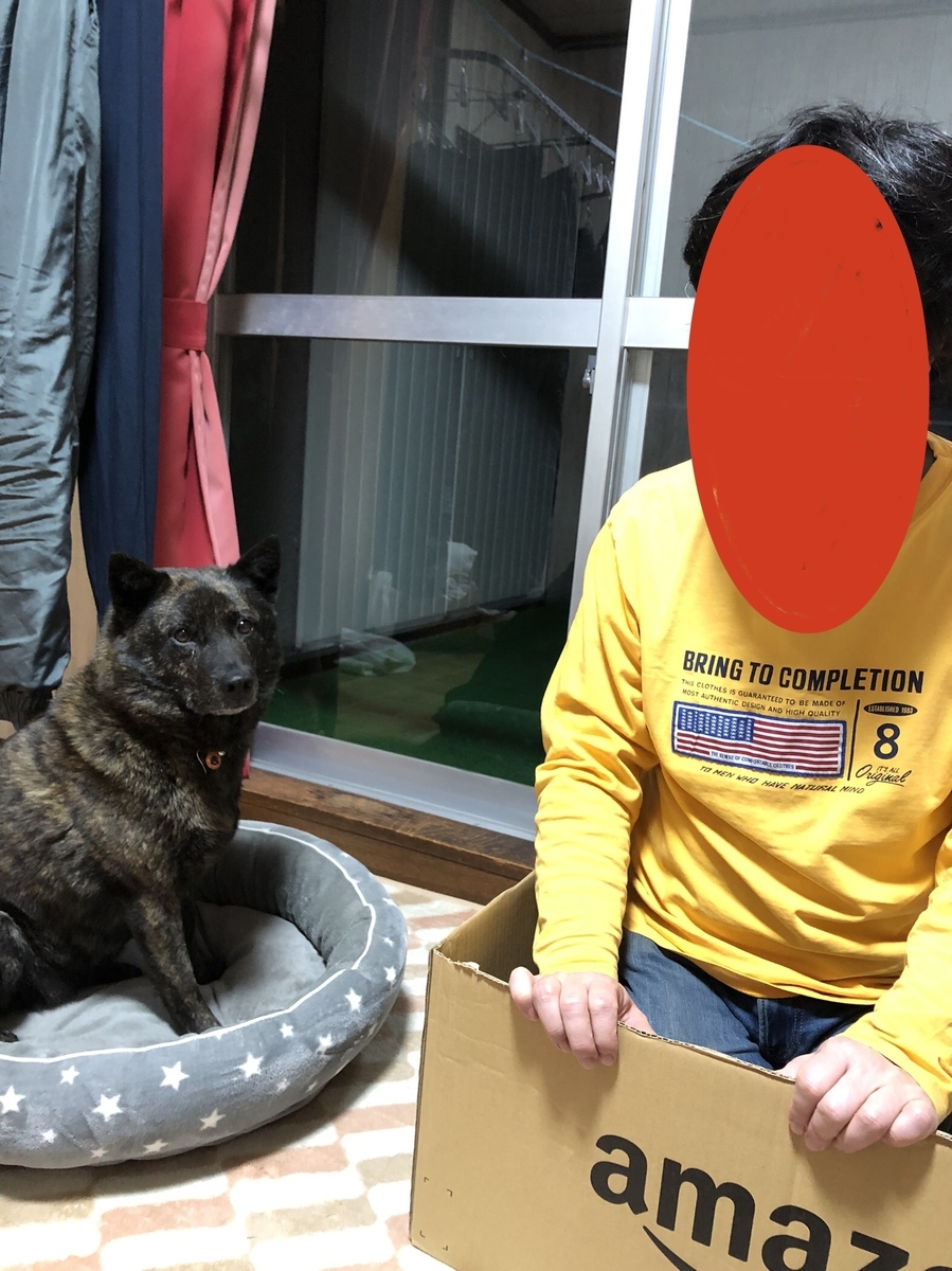 f:id:drunkard_kim:20220408123335j:plain