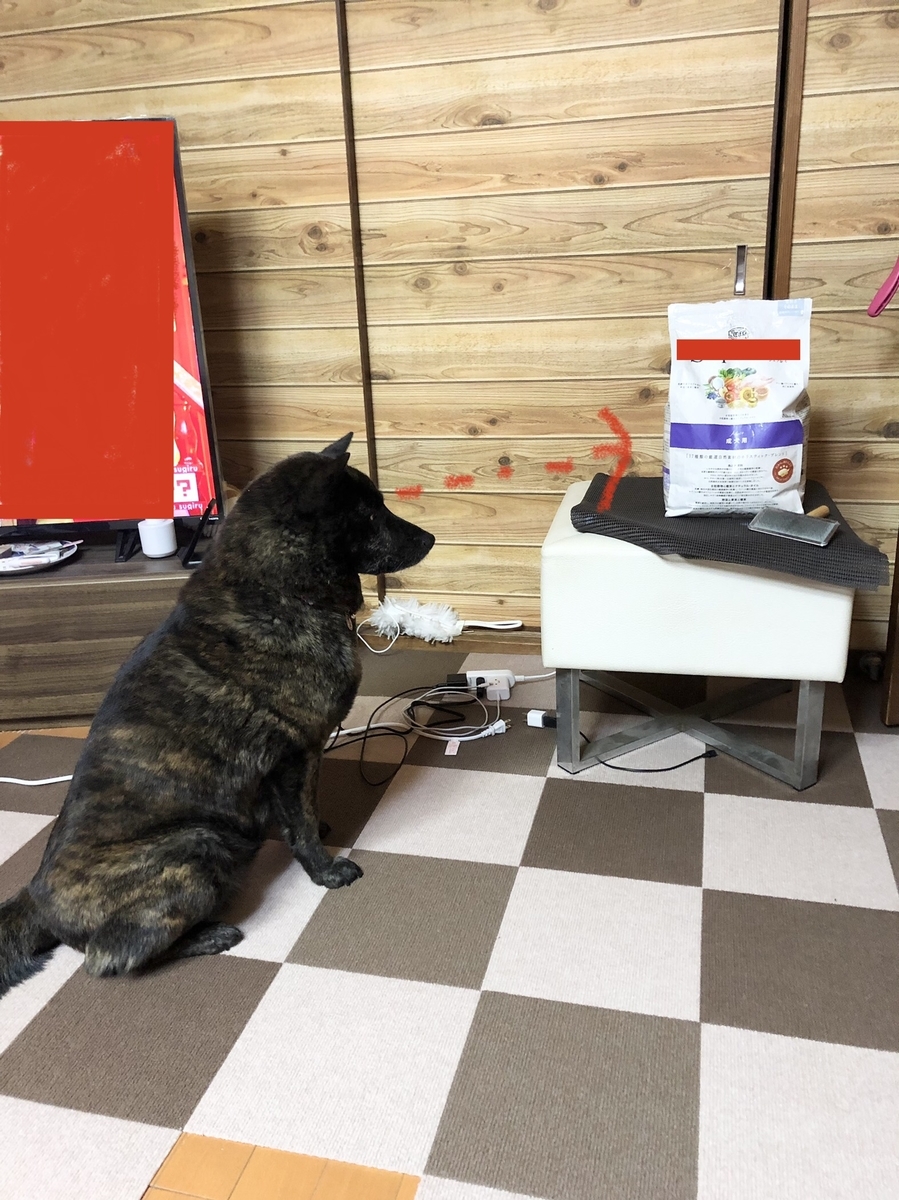 f:id:drunkard_kim:20220410123830j:plain