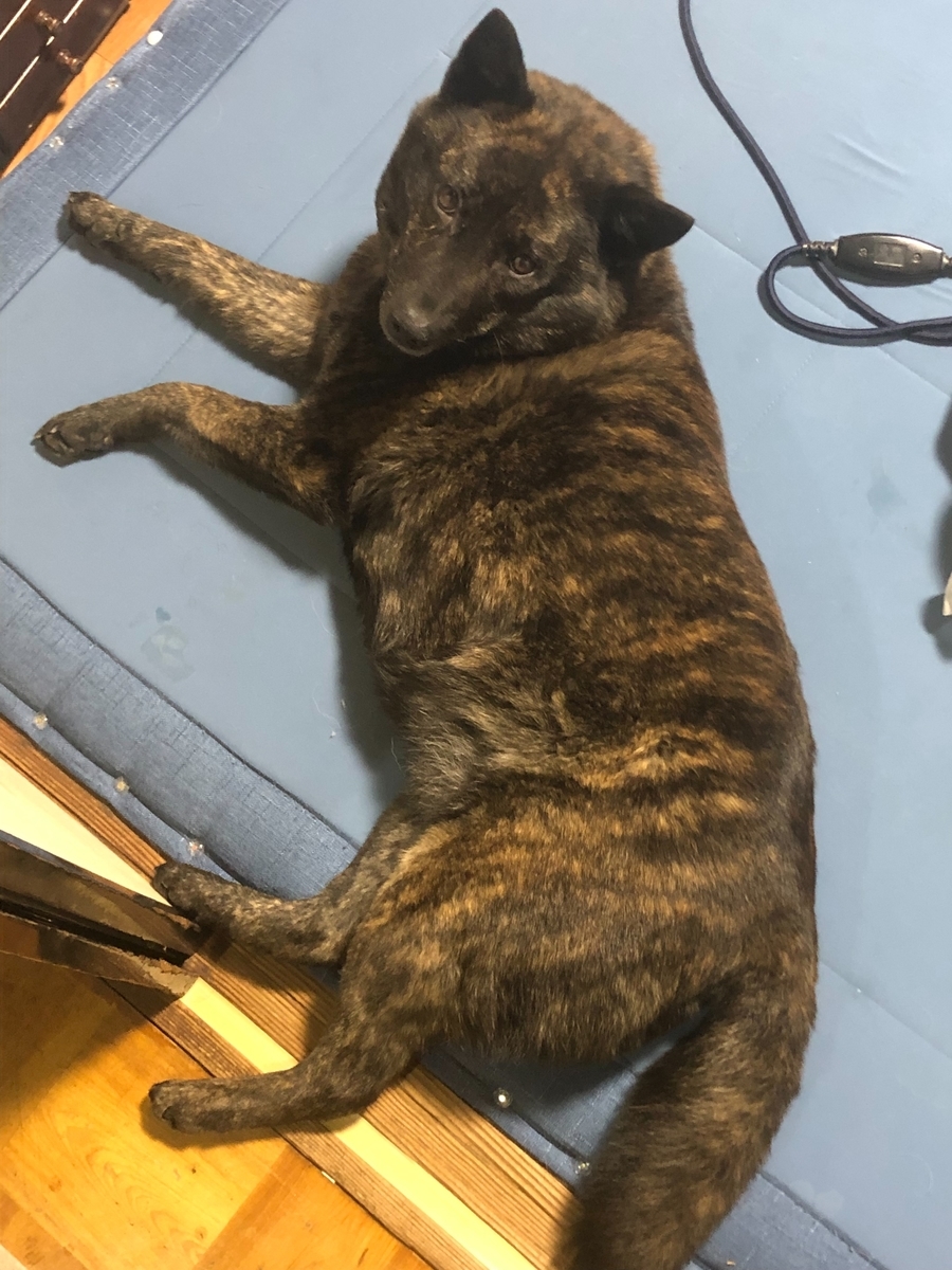 f:id:drunkard_kim:20220413122500j:plain