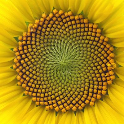 f:id:dry-mango:20191224195030j:plain