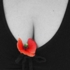 f:id:drytonguecat:20080225173732j:image f:id:drytonguecat:20080225173732j:image