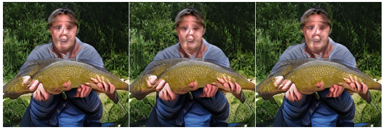 f:id:dsf-kotaro:20210205151909p:plain