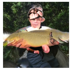 f:id:dsf-kotaro:20210206173003p:plain