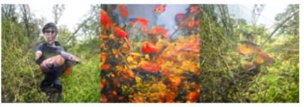 f:id:dsf-kotaro:20210207224013p:plain