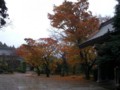 20101220230757