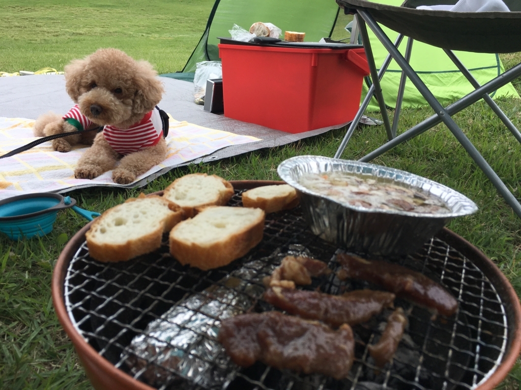 f:id:dskst9:20170802235552j:plain