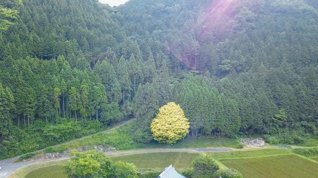 f:id:dskst9:20181104164230j:plain