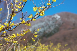 Canon EOS 5D MarkII ＆ EF135mm F2L USM 松川湖(2011.02.13)