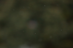 Canon EOS 5D MarkII & EF135mm F2L USM 沼津の雪(2010.02.14)