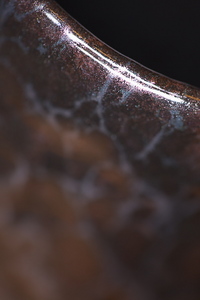 Canon EOS 5D Mark II & EF100mm F2.8L マクロ IS USM 湯飲み(2010.03.13)