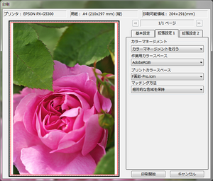 SILKYPIX Developer Studio Pro 5 β(2011.05.31)