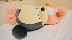 SONY DSC-TX5 タカラトミー いっしょにねんね ベビーミニー(2011.06.28)