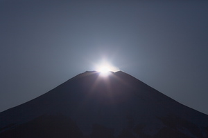 Canon EOS 5D MarkII & Canon EF24-70mm F2.8L USM 花の都公園(2008.12.27)