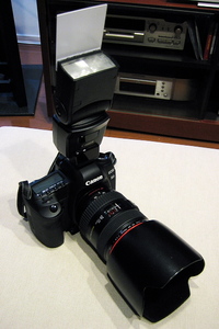 1Canon EOS 5D MarkII & EF24-70mm F2.8L USM バウンズリフレクター(2010.06.11)