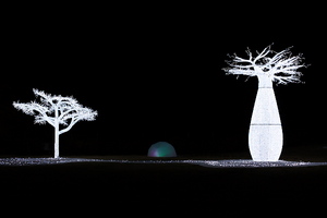 Canon EOS 5D MarkII ＆ Canon EF50mm F1.4 USM 御殿場高原時之栖(2009.02.01)