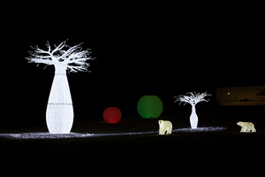 Canon EOS 5D MarkII ＆ Canon EF50mm F1.4 USM 御殿場高原時之栖(2009.02.01)