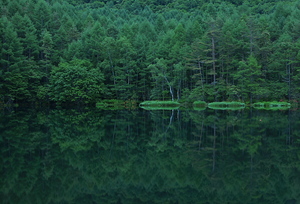 Canon EOS 5D MarkII & EF24-70mm F2.8L USM 御射鹿池(2010.06.26)