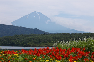 Canon EOS 5D MarkII ＆ EF70-200mm F4L IS USM 西湖(2010.07.10)