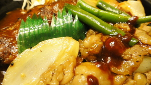 SONY DSC-TX5 ほっともっと ハンバーグ&カルビ焼き肉弁当(2010.08.20)