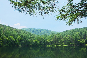 Canon EOS 5D MarkII & Canon EF24-70mm F2.8L USM 御射鹿池(2009.06.30)