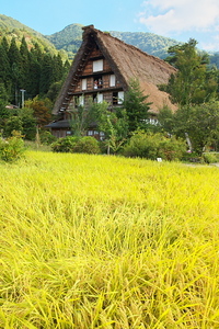 Canon EOS MarkII ＆ Canon EF17-40mm F4L USM 白川郷(2009.09.19)