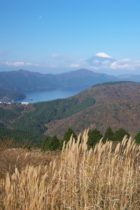 Canon EOS 5D MarkII & EF17-40mm F4L USM 大観山(2009.11.07)