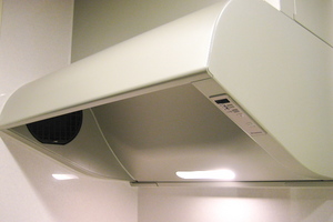 Canon IXY DIGITAL 60 自宅(2008.11.20)