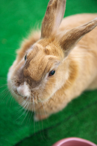 Canon EOS5D & Canon EF24-70mm F2.8L USM 某所