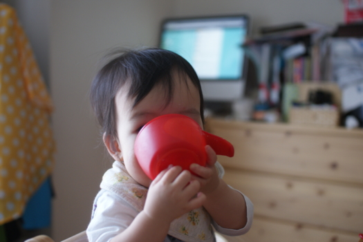 f:id:dspt:20120610105136j:image