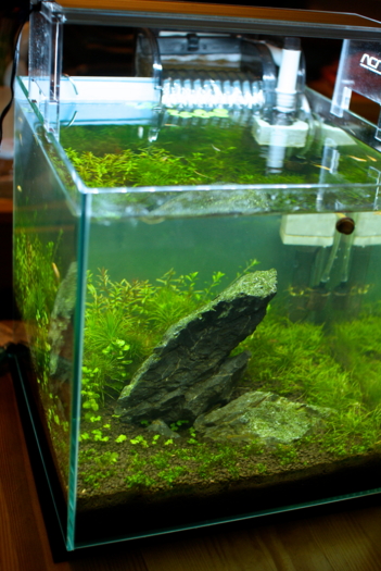 f:id:dspt:20131012231934j:image