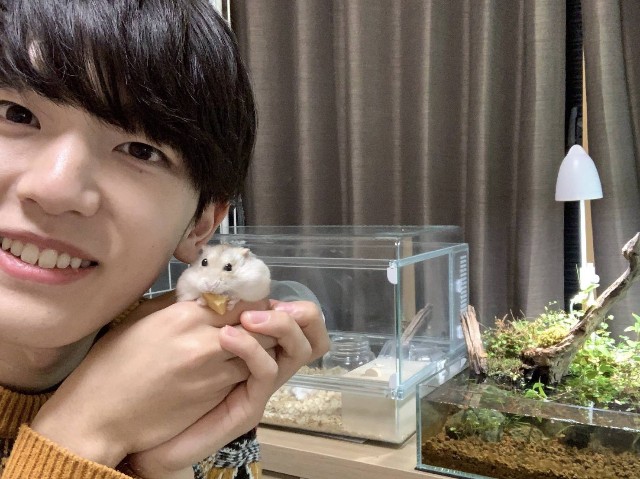 f:id:dstmnd:20210613232946j:image