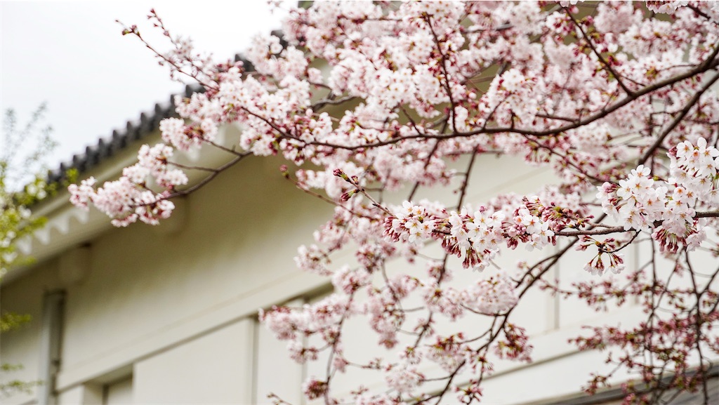 f:id:dstn18c:20260323232224j:image f:id:dstn18c:20260323232224j:image
