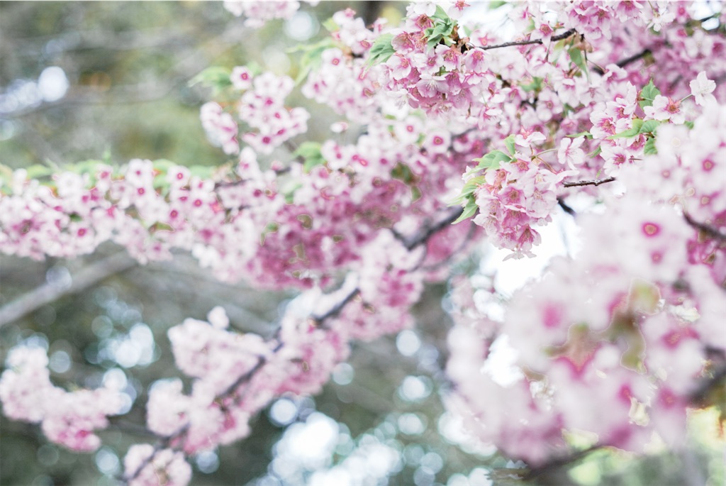 f:id:dstn18c:20260323232241j:image f:id:dstn18c:20260323232241j:image
