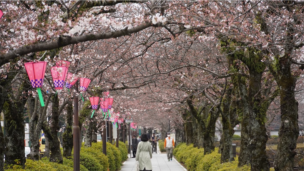 f:id:dstn18c:20260323232246j:image f:id:dstn18c:20260323232246j:image