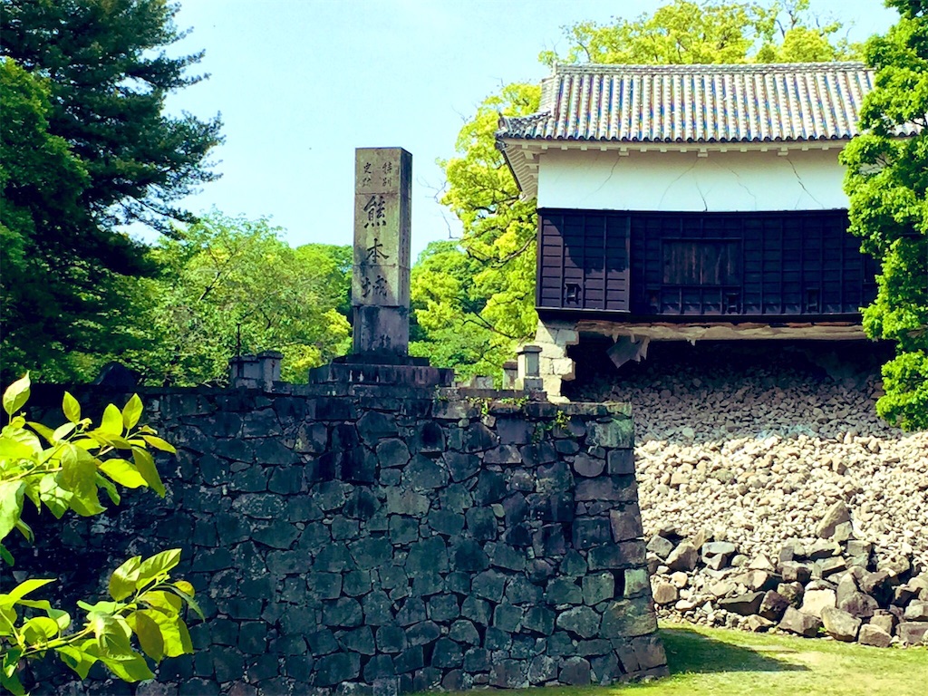 f:id:dsue0824:20190507210735j:image
